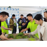 永定区：科技助力莓茶产业高质量发展