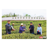 镜头|张家界市纪检监察机关把赵乐际同志来湘调研讲话精神贯彻落实到实际工作当中