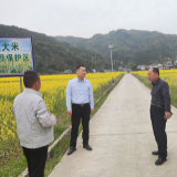 张冲到桑植县芙蓉桥白族乡调研乡村振兴和粮食生产工作