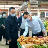 张龚率队调研食品安全工作