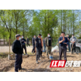 永定区罗水乡：种粮培训在田间 科学稳粮促丰收