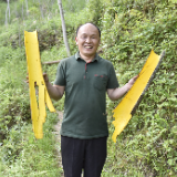 乡村振兴之家乡桑植|胡永红：十年种一树 种出好“钱”景