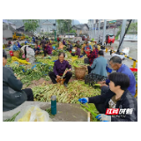 桑植县陈家河镇:村部建起“蔬菜加工厂”