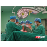 张家界完成“集采”后首例膝关节置换手术 费用直降80%