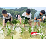 永定区合作桥乡中心学校开展劳动实践教育活动常态化