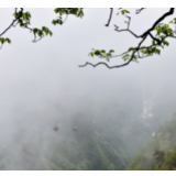 办会兴城｜“茅岩莓”举办莓茶采摘节系列活动助力旅发会