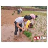 慈利县杨柳铺乡康庄村：党建引领汇聚帮扶合力 多措并举助力产业振兴