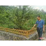 “美丽屋场”聚合力 绘就乡村新画卷——桑植县“美丽屋场”示范创建工作纪实之一