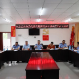 共谋乡村振兴——一场“沉浸式”的专题党委会在胡家坡村召开