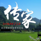 清风头条|快来围观！市纪委监委、永定区纪委监委自制清廉微视频