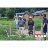  永定区三家馆乡： 周末“不打烊”  抓实旱期森林防火