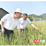 刘革安在调研督导抗旱工作时强调：以高度责任感全面保障生产生活用水安全