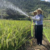 慈利法院20余名党员干警奋战在抗旱救灾一线