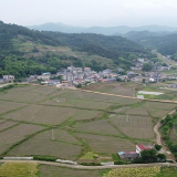 永定区多部门发力 抛荒治理郑家坪村640亩失地