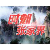 【夏季治安打击整治“百日行动”】4人被拘！ 永定公安严厉打击追客赶客行为