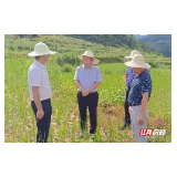 廖国豪赴桑植县调研指导抗旱救灾工作