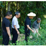 张家界：聚焦抗旱供水 纪检监察干部在行动