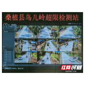 桑植：治超神器显威 超限超载行为无处遁形