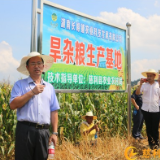 慈利县举办2022年大豆玉米带状复合种植高产示范现场观摩会