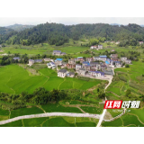 湖南慈利：“美丽庭院”迎客来