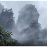 张家界：武陵源普降小雨 百龙天梯云海翻滚