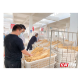 慈利县高峰土家族乡高峰村：千亩“金叶”飘香  烟农喜迎丰收