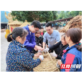 永定区桥头乡：稻作文化“编”在手 串起乡村“振兴路”