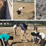 学习之余种萝卜，永定区合作桥乡中学开展学农基地播种活动