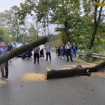 永定区新桥镇：疏通国道公路 保障安全出行