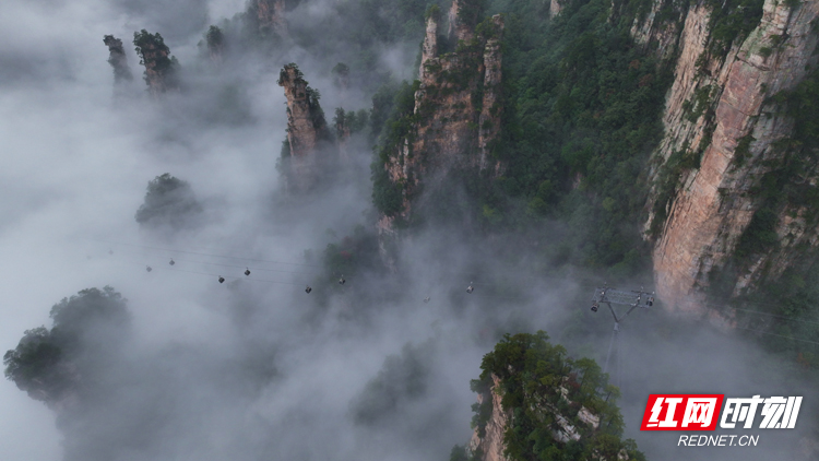 中秋国庆来张家界|张家界：雨后武陵源 云上天子山