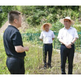 张家界市“四点”发力 从严抓实“绿盾”行动反馈问题整改