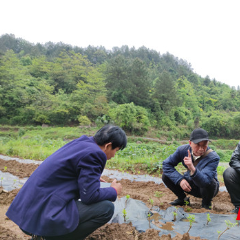 张家界市2人荣获全省“最美老干部”称号