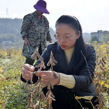 黎芳：履职答卷写在田间地头