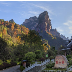 湖南杨家界景区：秋染群峰色彩斑斓