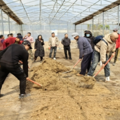 永定区：提升水稻种植技术 培养农业技术人才