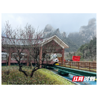 张家界十里画廊景区：跟着“玉兔”去迎春