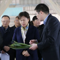 肖百灵在张家界调研：练好做实调查研究“基本功” 为推进民族地区高质量发展双向发力