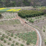 永定区：“小山塘”撬起 “大民生” “小渠道”连通 “大民心”