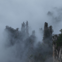 张家界国家森林公园：云海胜景天子山