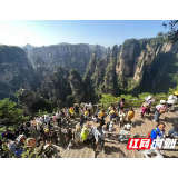 回顾这个“五一”，张家界国家森林公园“游客旅行体验”好到爆棚