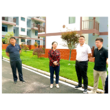 吴俞萍现场调度中湖乡项目建设工作