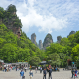 张管局“全链条”式服务保障游客畅游张家界