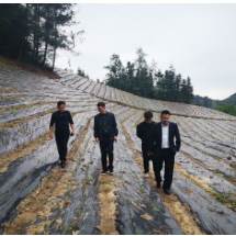 业务在保余额突破3.65亿元 湖南农担张家界市分公司率先完成全年目标任务