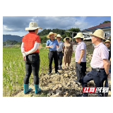 张家界市田长办针对耕地“非农化”“非粮化”整治开展“解剖麻雀”式调研