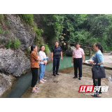 永定区妇保院：党建引领乡村振兴 驻村帮扶产业发展