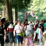 武陵源区：保持“铁腕治旅”高压态势 持续净化旅游市场环境