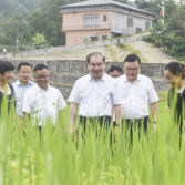 刘革安到慈利县开展巡田并调研耕地保护田长制暨耕地“两非”专项整治工作