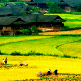 遇见丨中国传统村落——秋天的石堰坪