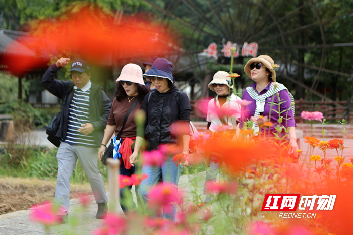 张家界黄龙洞景区：节后出现错峰出游热