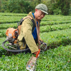 张家界市桑植县：霜降时节精细化气象服务走进田间地头 助力农耕生产